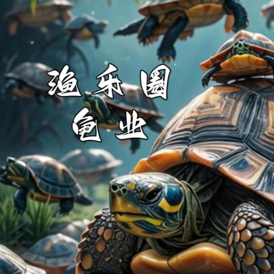 渔乐圈龟鳖水产养殖