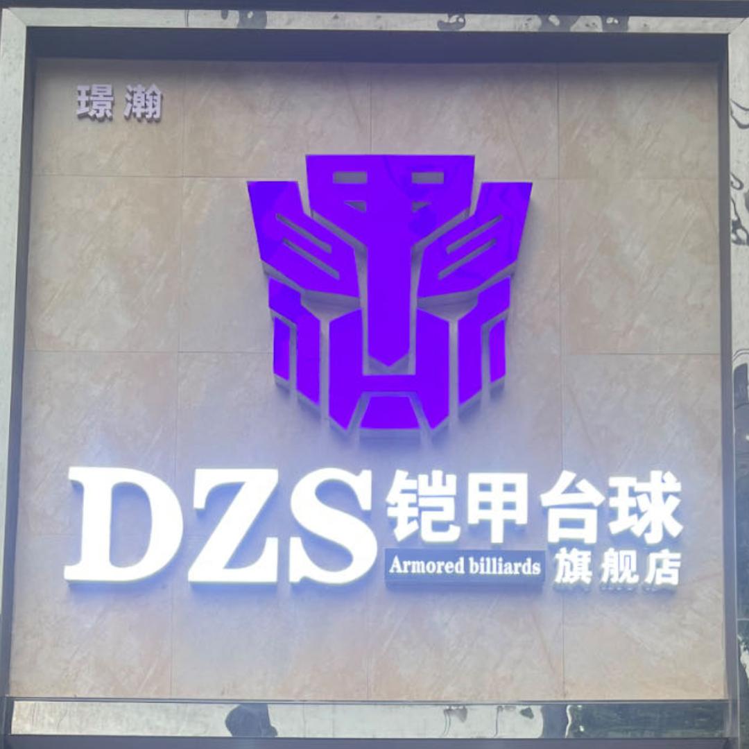 DZS铠甲台球