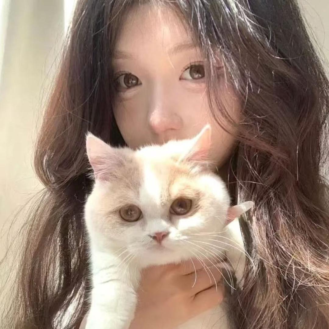 蛋黄帕尼尼