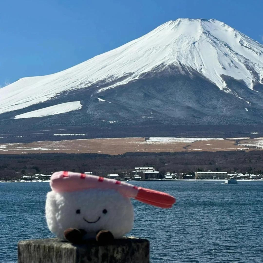 思维、认知
