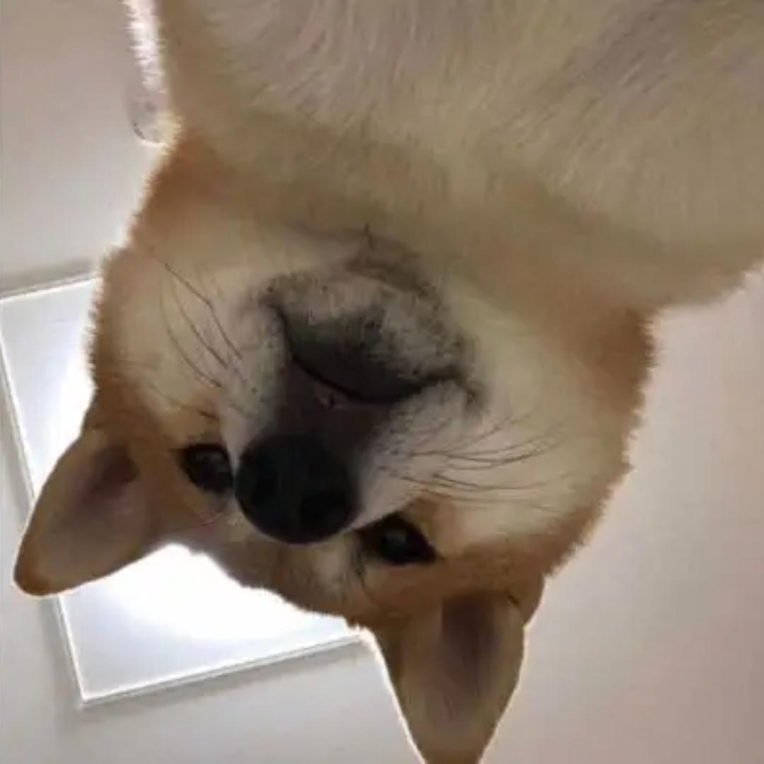 布丁混剪