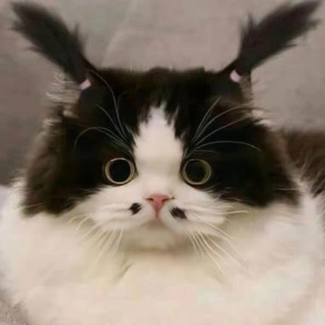 我看行商贸