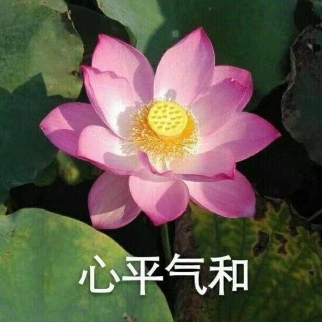 交易猎手