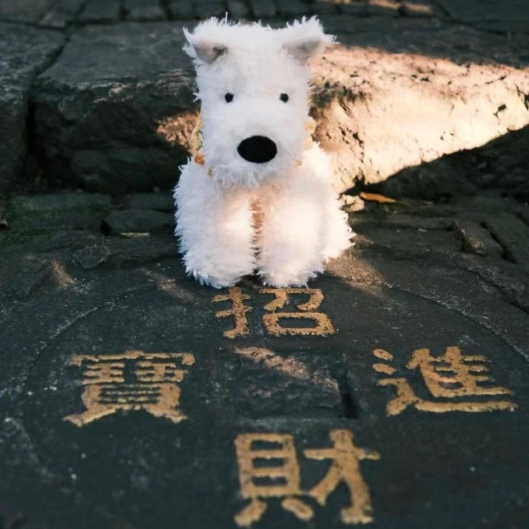 大大好物
