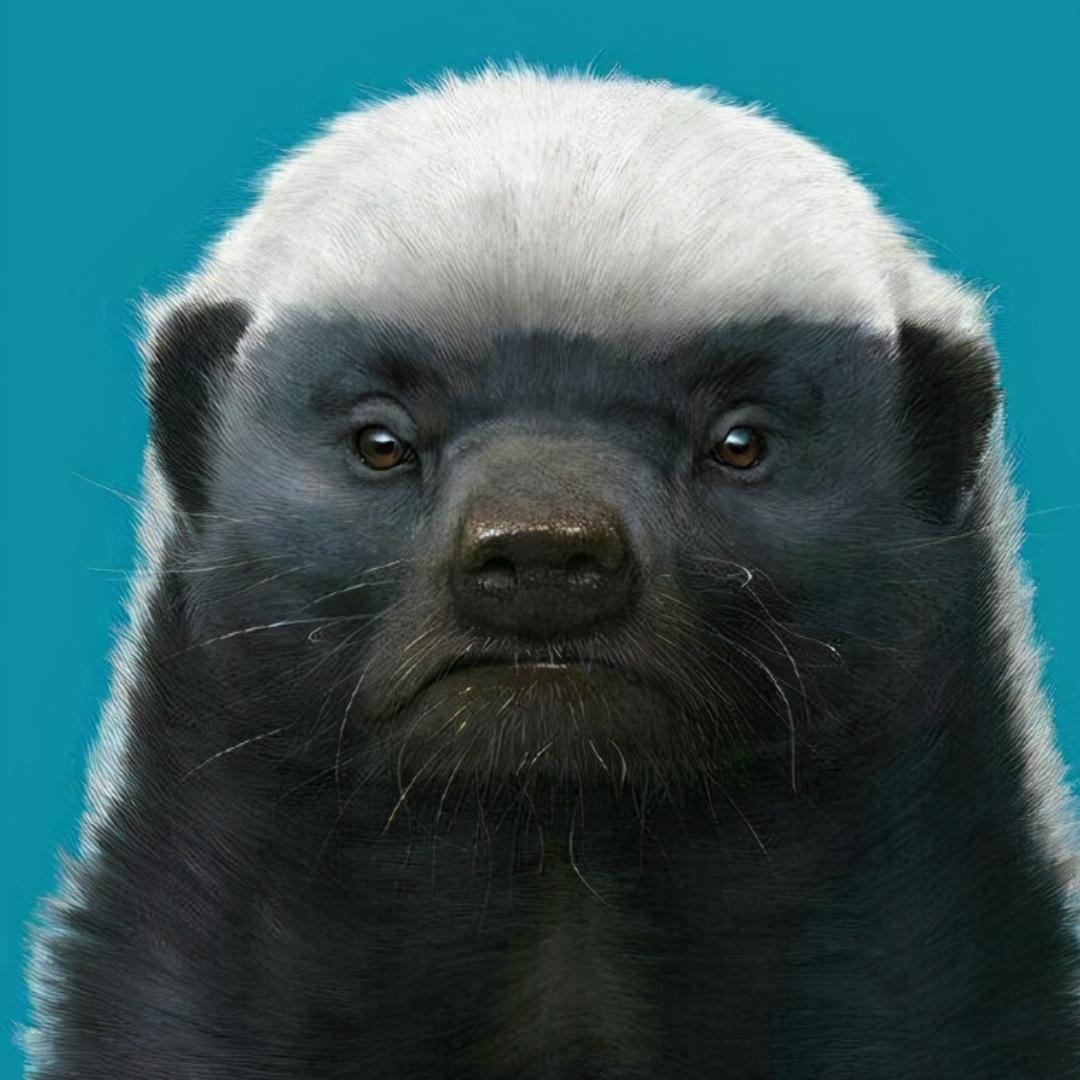 微乐平头哥