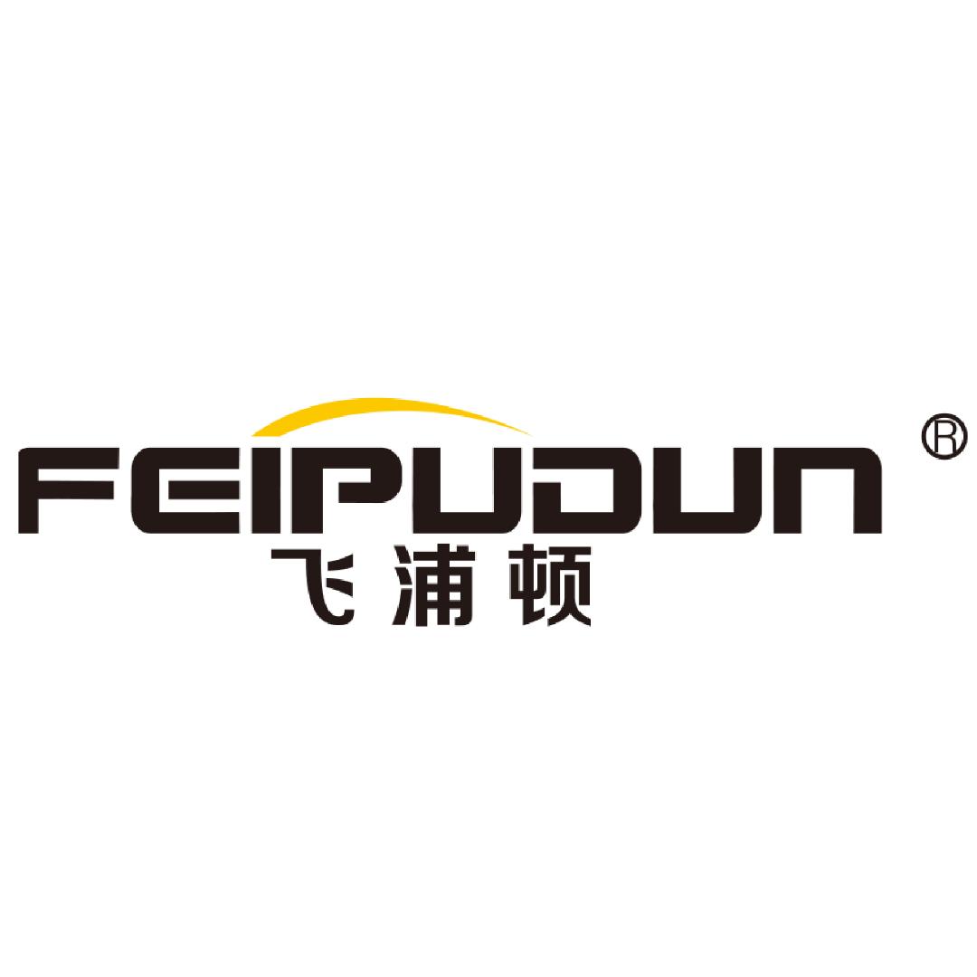 飞浦顿汽车照明