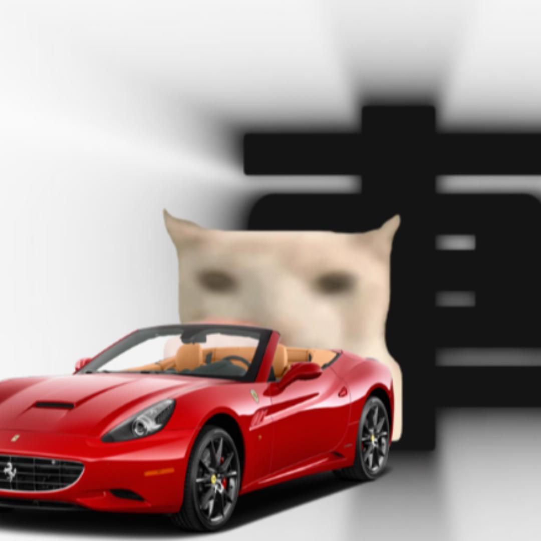 胖車猫meme