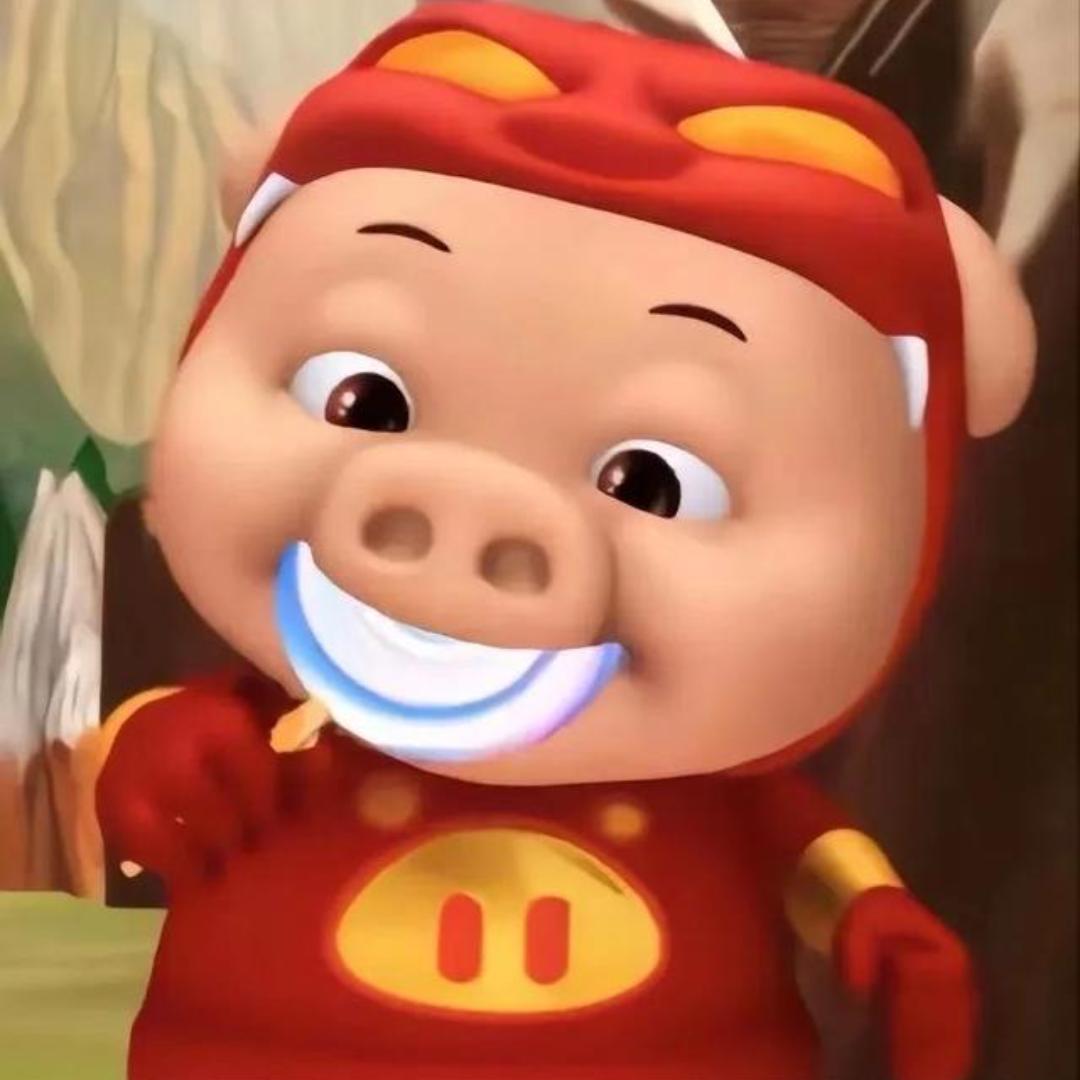 小G-口袋宠物猪