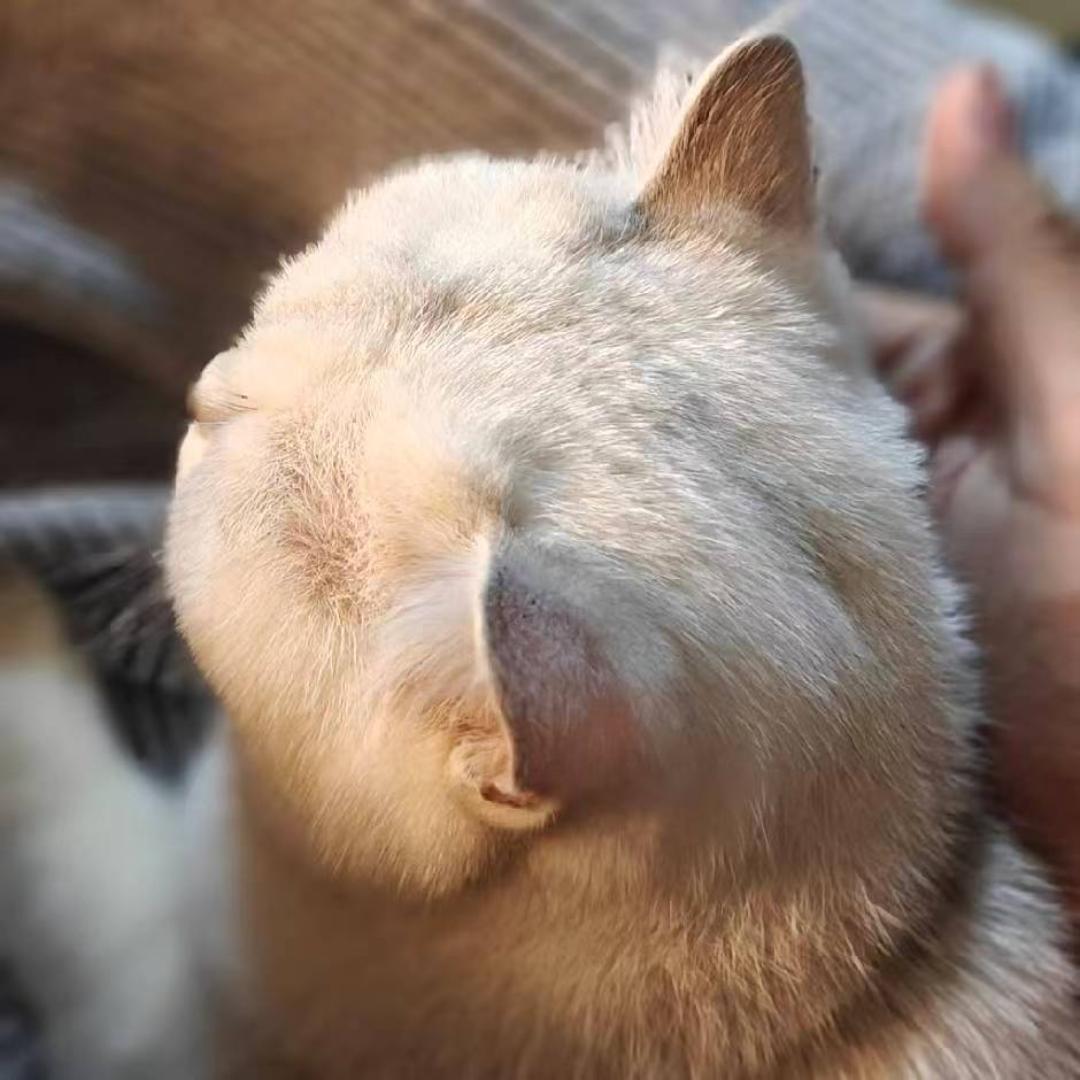 好玩的果冻