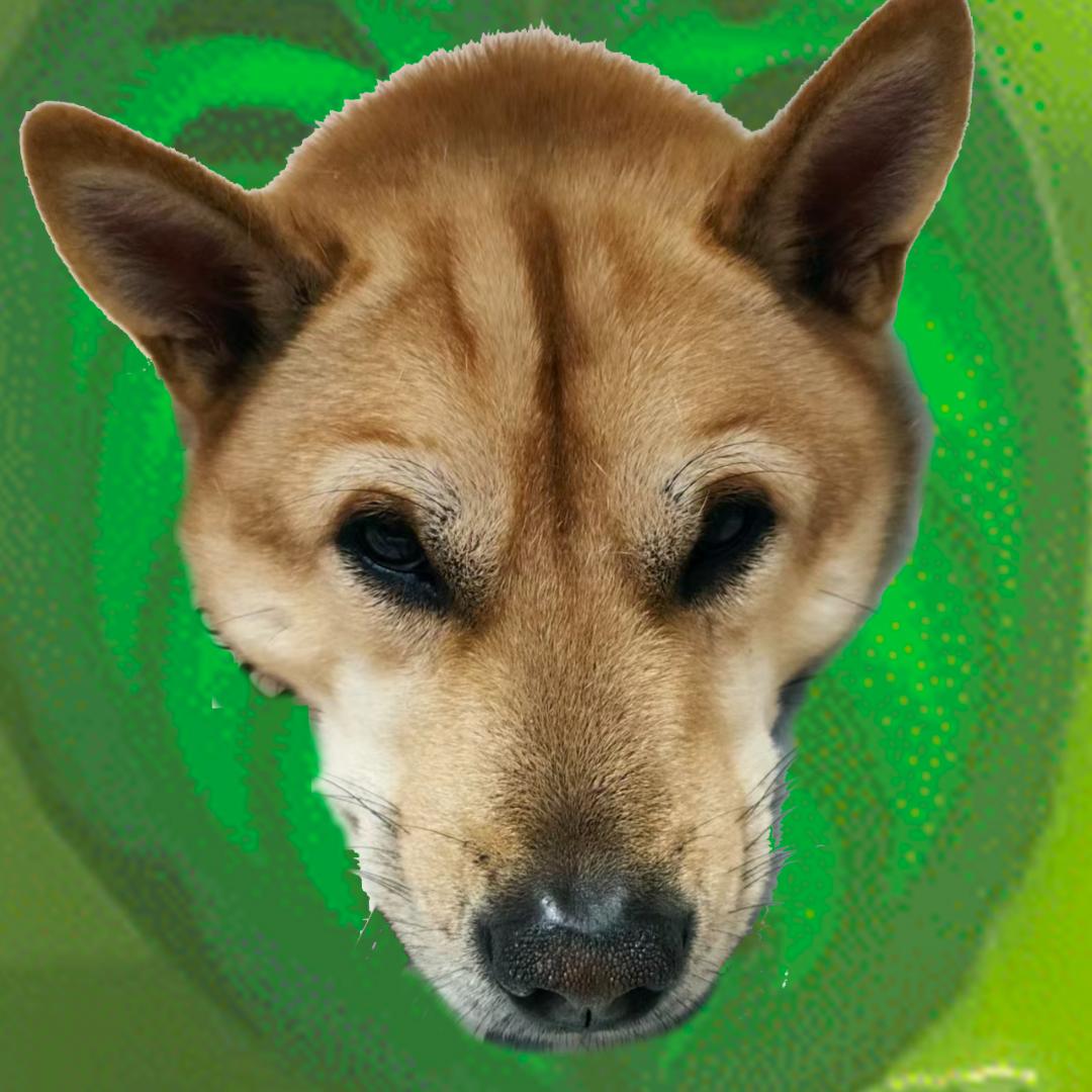 马琳🐶