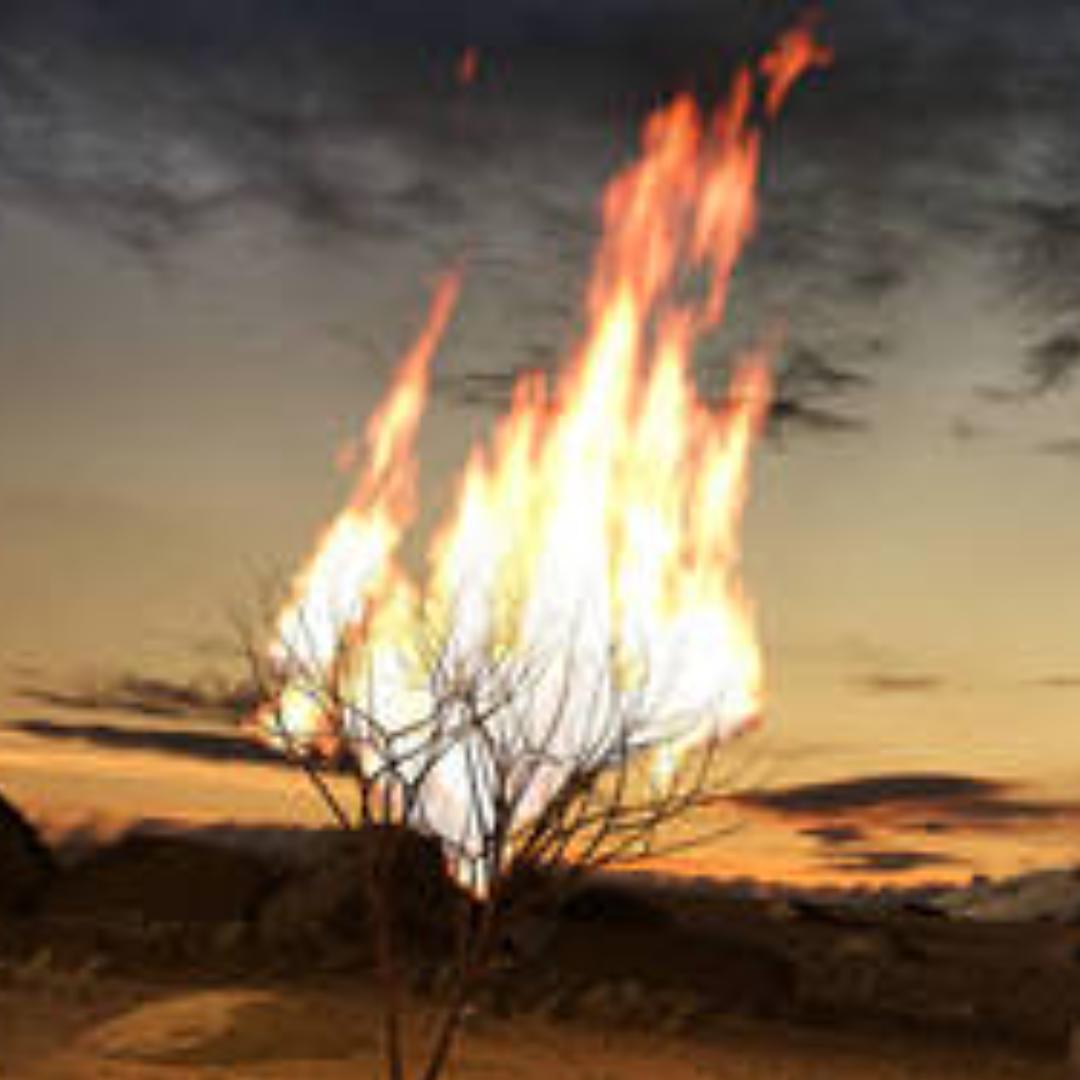 可以不写昵称吗