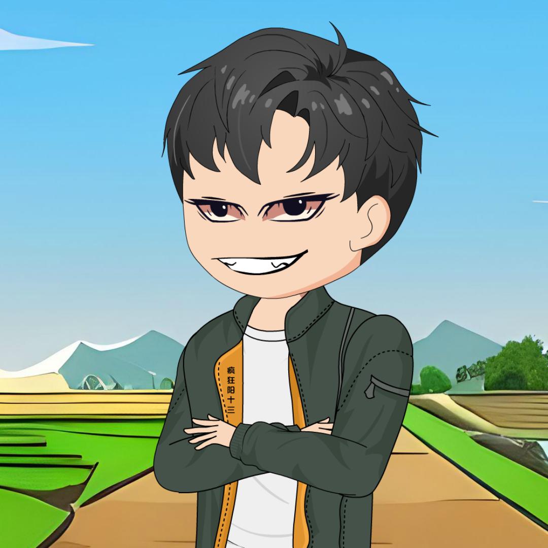 疯狂阳十三