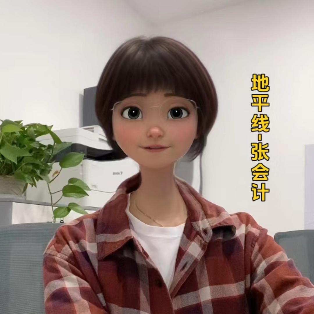 地平线企服—张会计