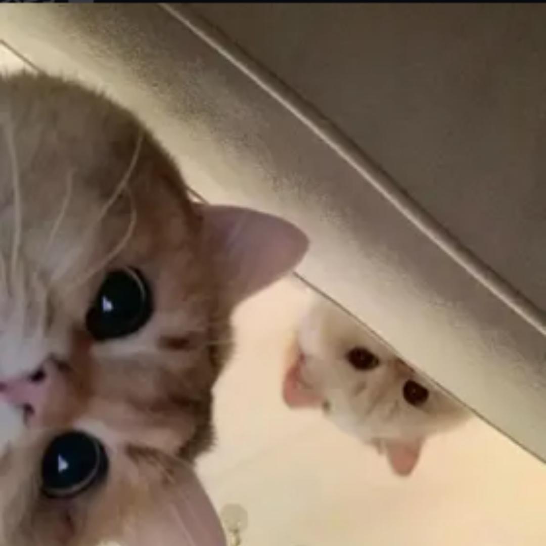 安。