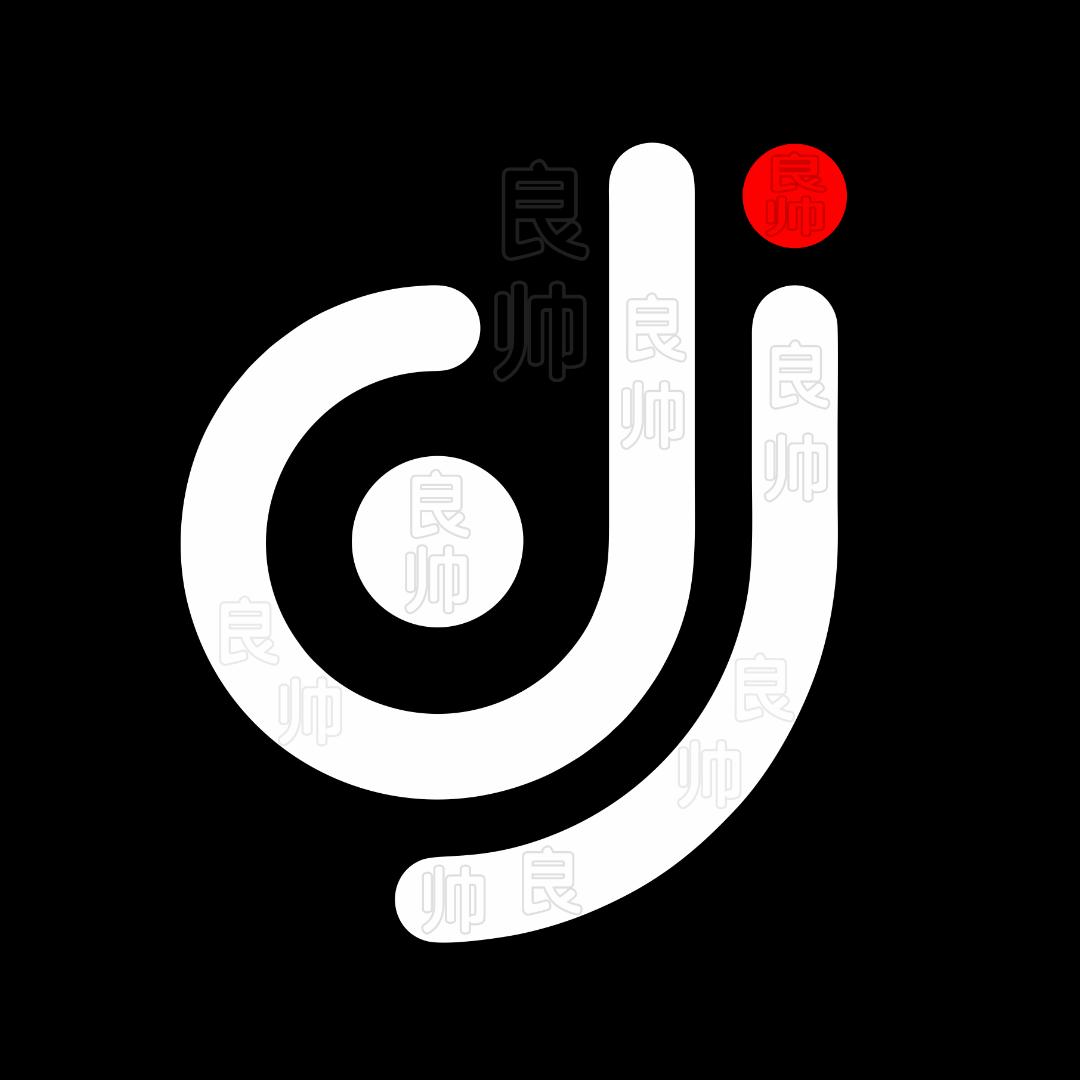 良帅DJ（车载音乐U盘）