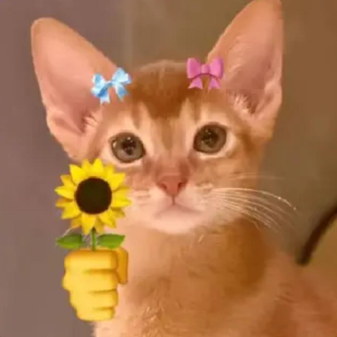 玖晞（已被开除人籍版）