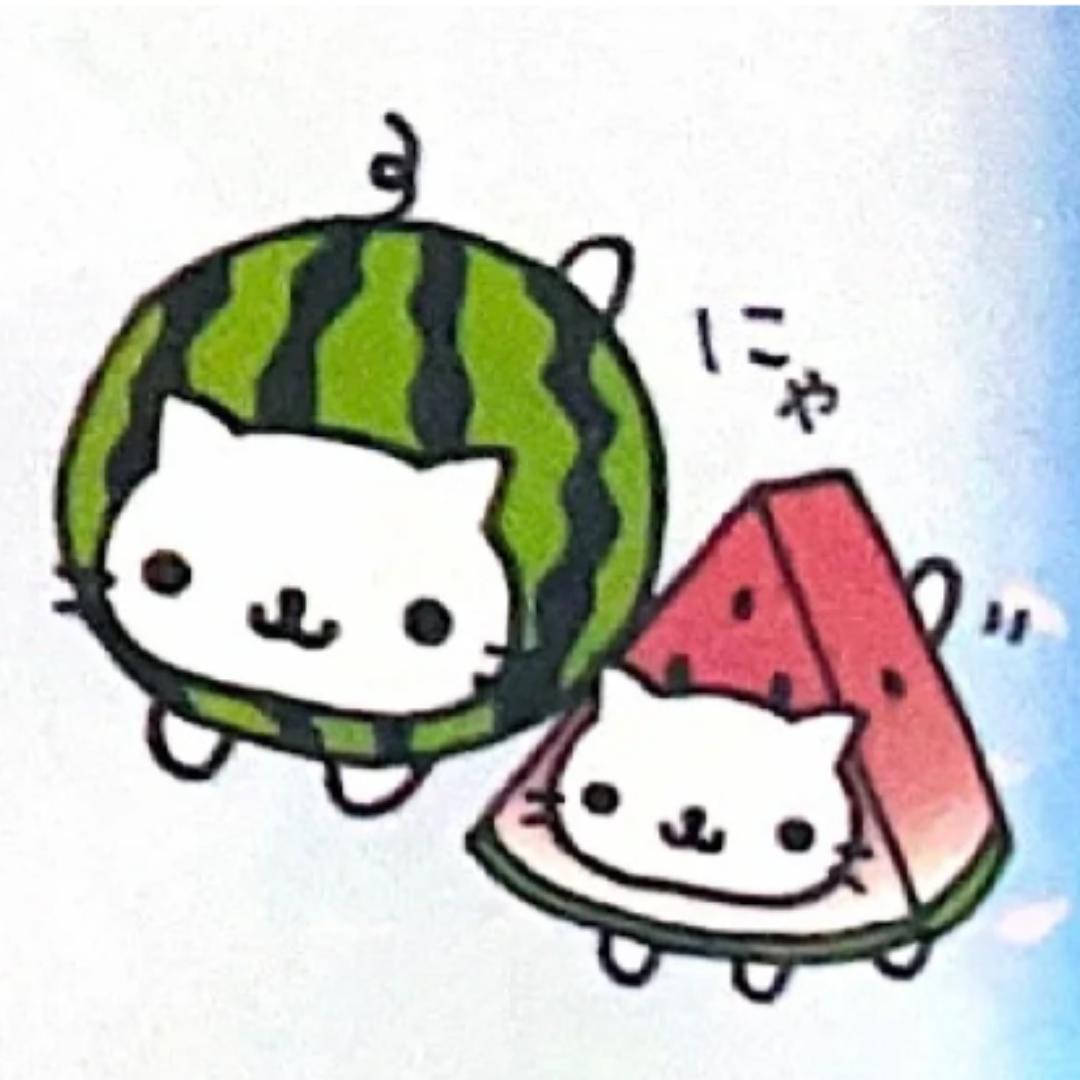 小西瓜🍉