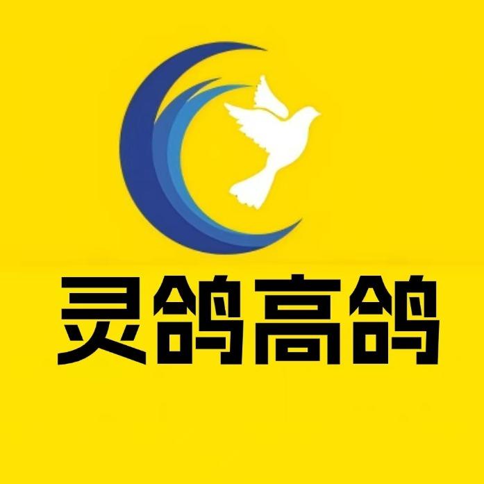 苏州园区·灵鸽高鸽