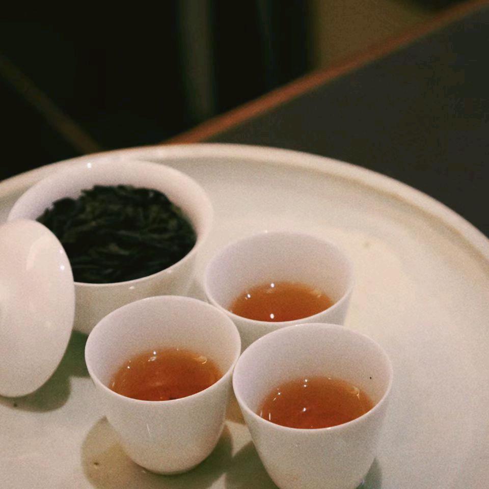 树下有茶官方号