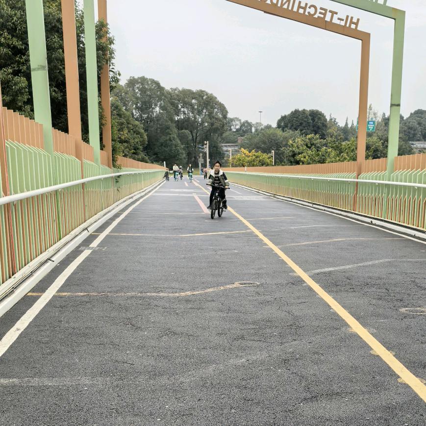 成都市天府新区台铃电动车
