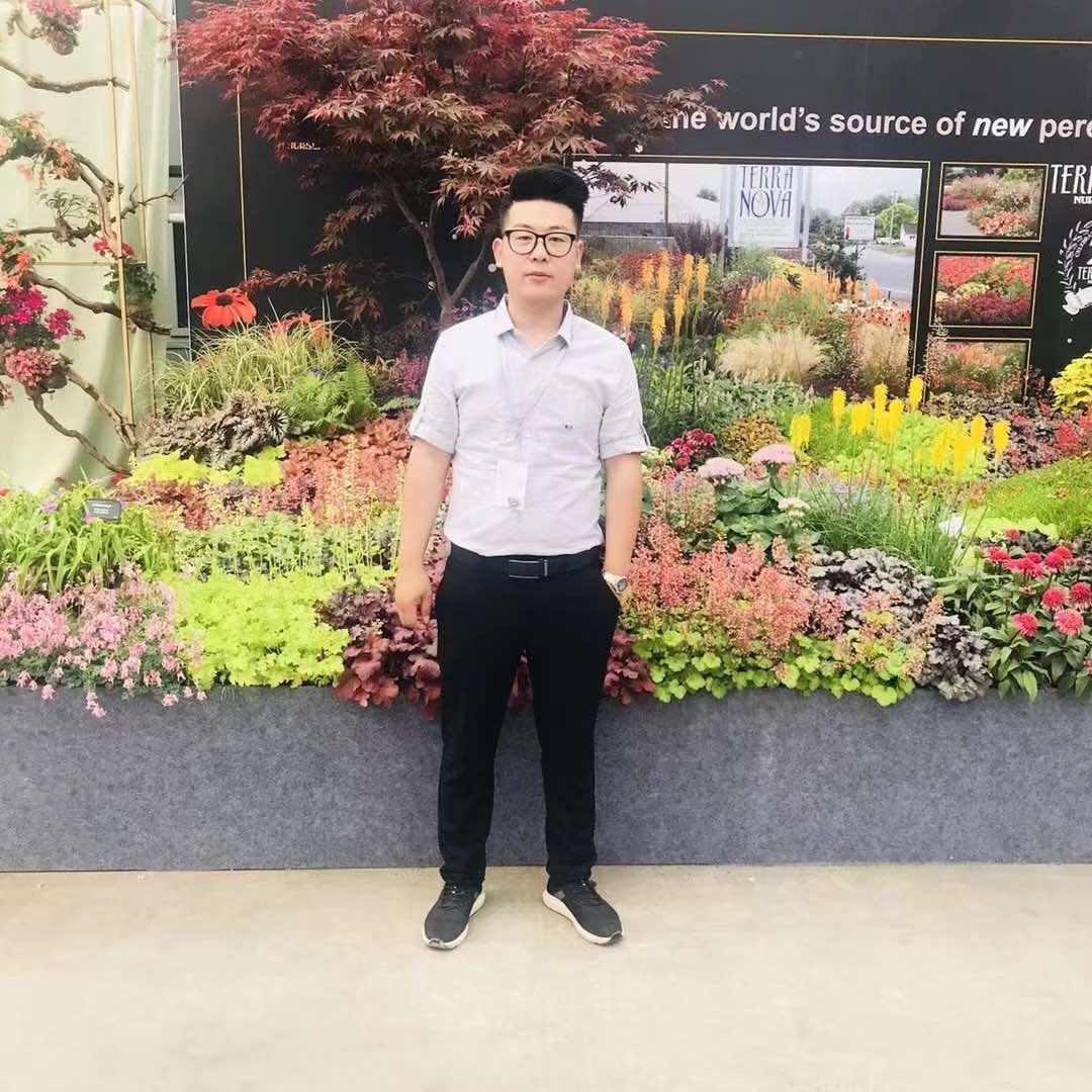 赵攀峰小盆栽批发