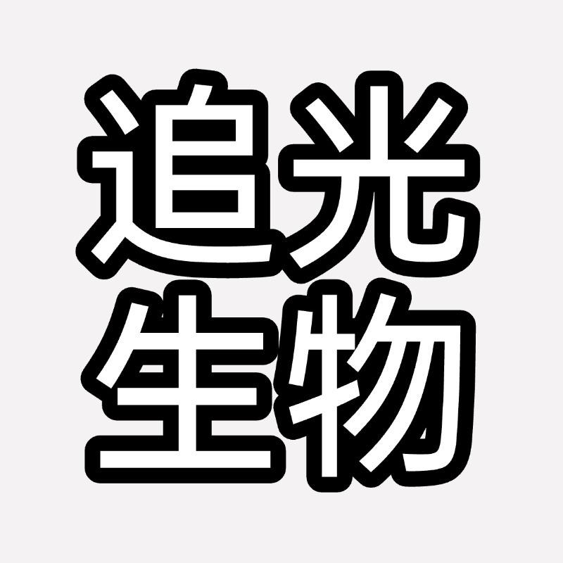 追光者伍生活服务