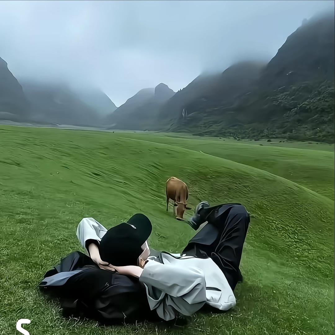 锦鲤贴贴迈晓满诚安