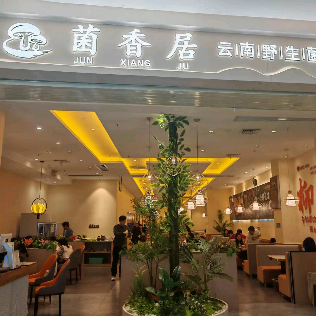 菌山集·云南野生菌火锅