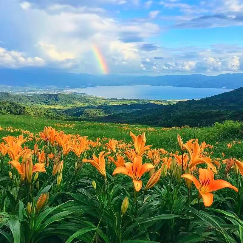 糖糖家.六和普什