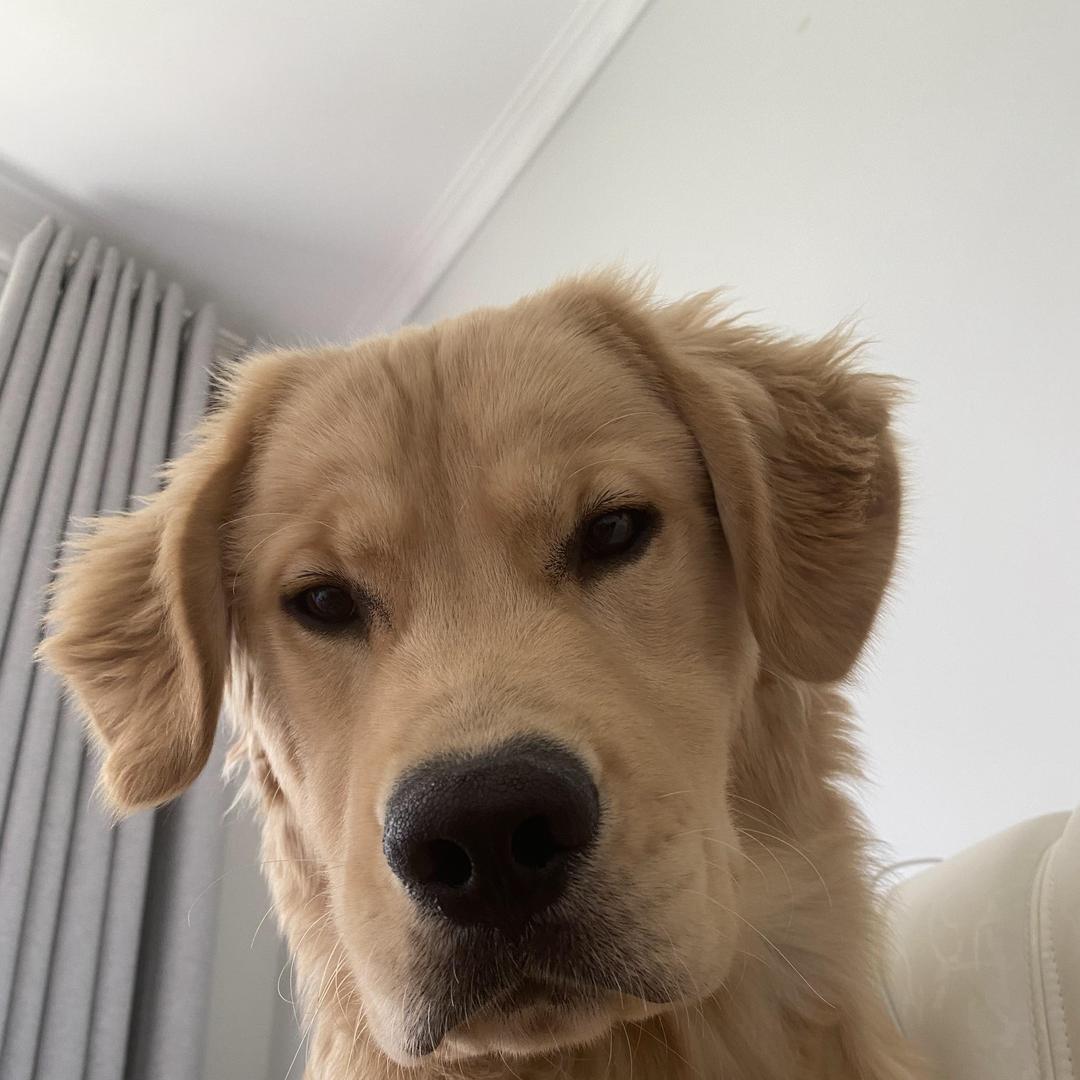 老爷车金城时代店直播号