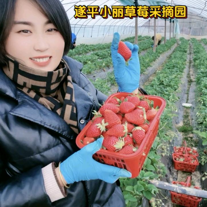 遂平县韩丽家庭农场