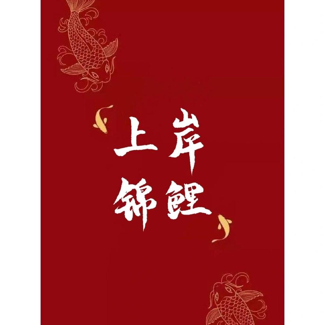 淘淘猫官方号