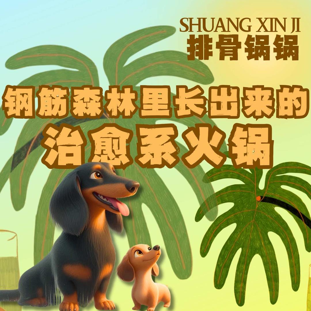 双辛记排骨锅锅（小寨店）