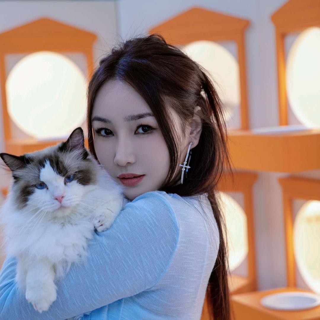 猫檐娱乐猫咖馆