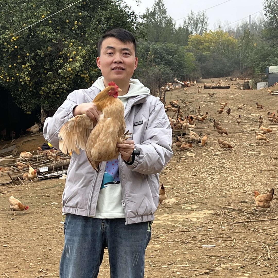 山林散养土鸡蛋（刘掌柜商行）