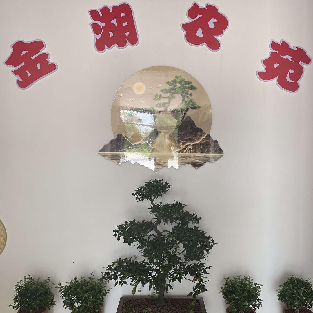 金湖农苑