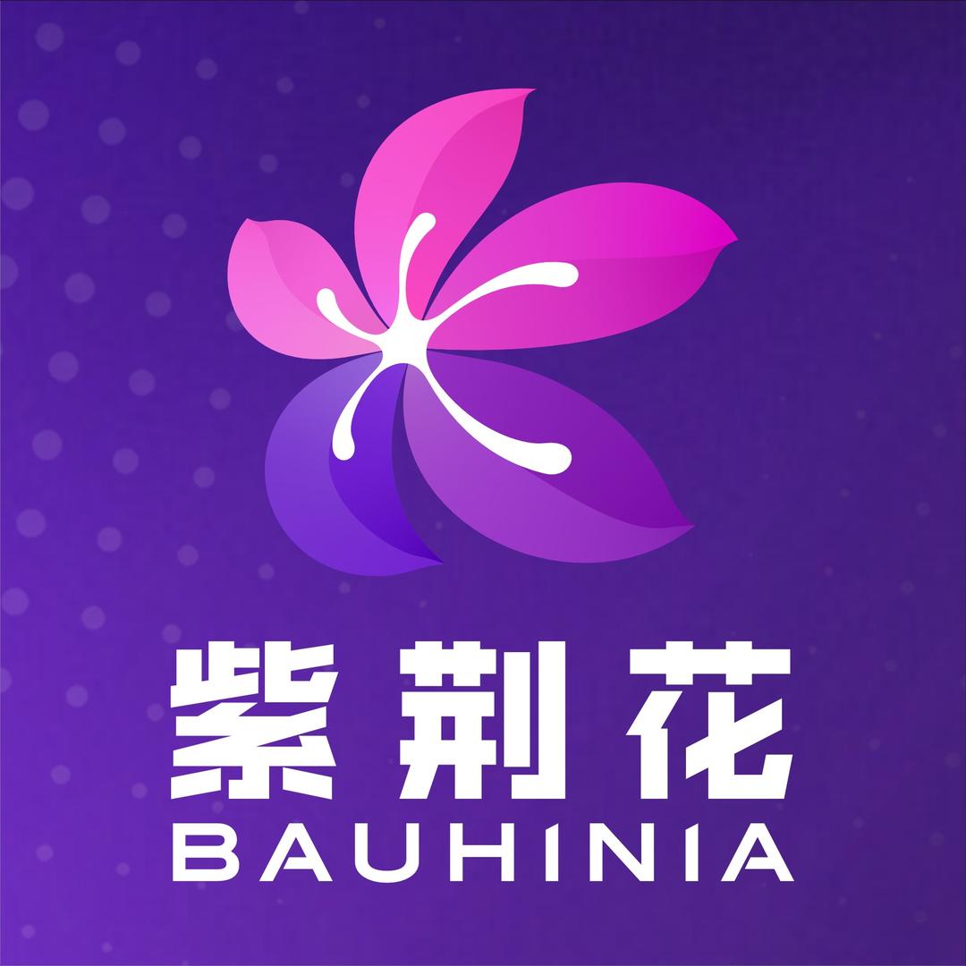 在钦州卖艺术漆的小娟