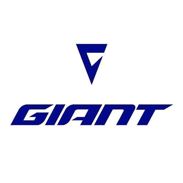 捷安特-丽以芙玉门昌盛路店