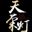 天荣车灯 维绚汽车配件