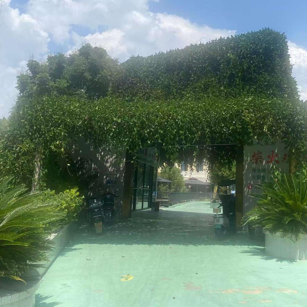 李小酒（春天庄园）