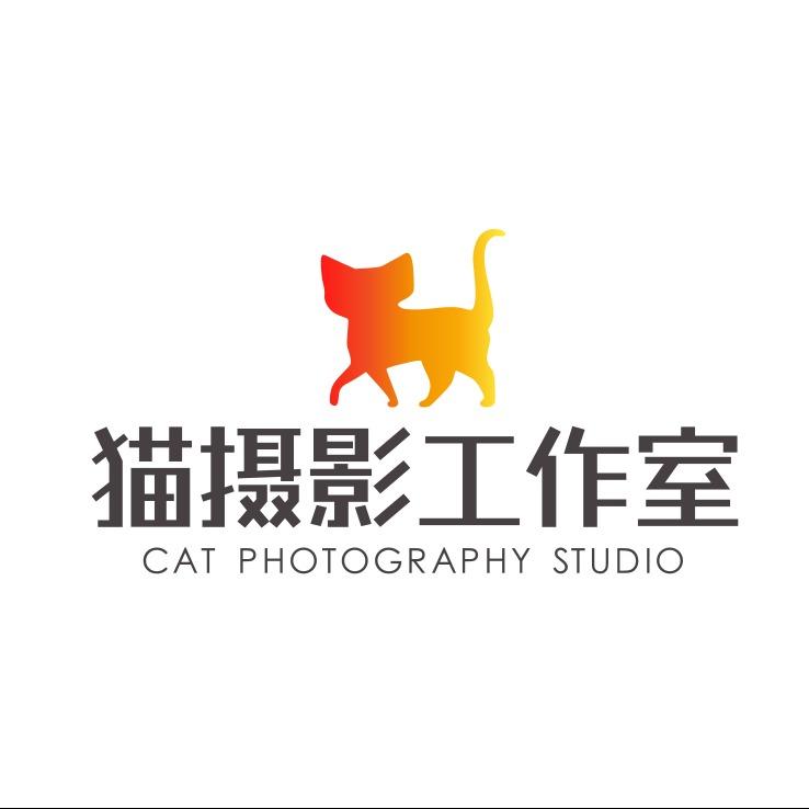 猫摄影工作室(平阳店)官方号