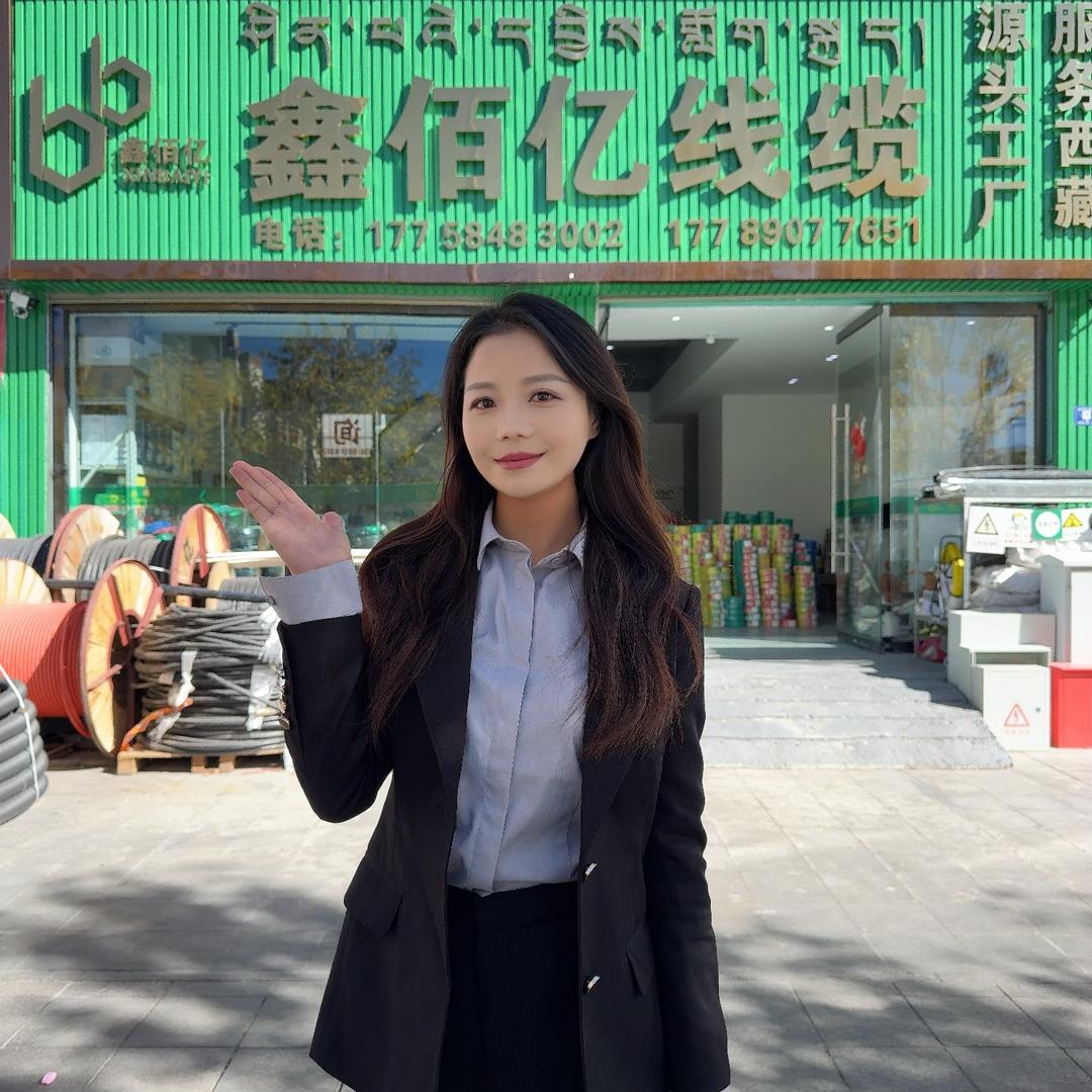 西藏鑫佰亿线缆有限公司