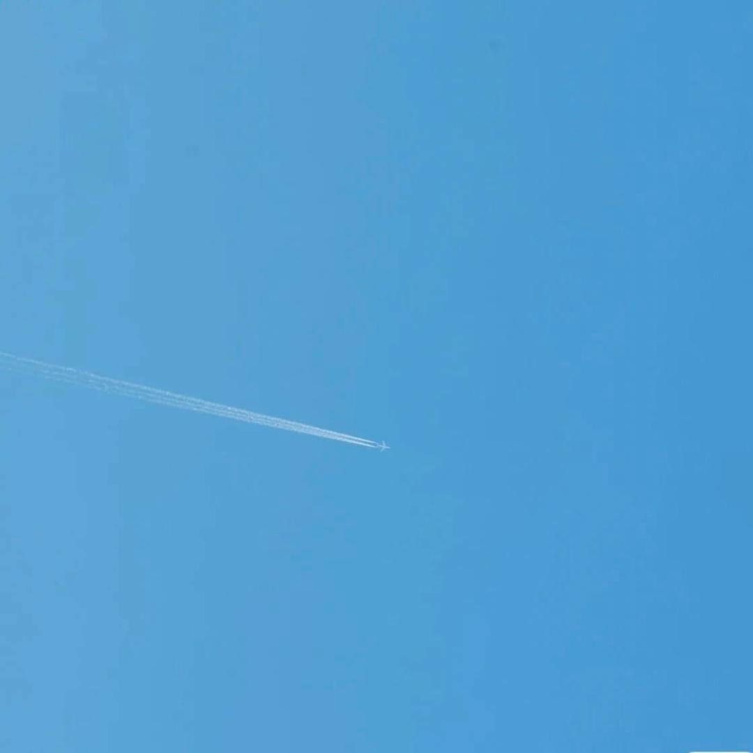 中伐直播号