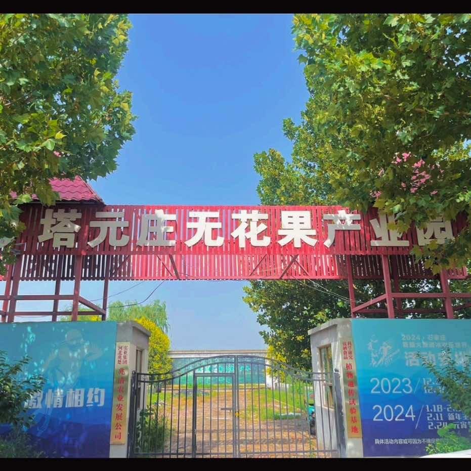 塔元庄无花果产业园官方号