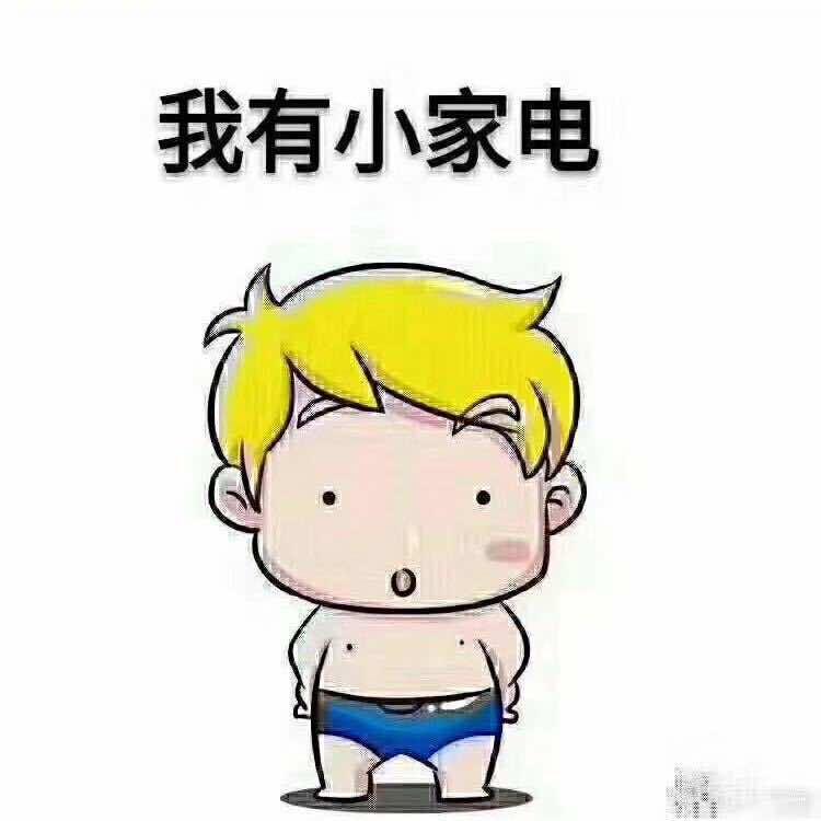 马鞍山飞翔电器商贸有限公司