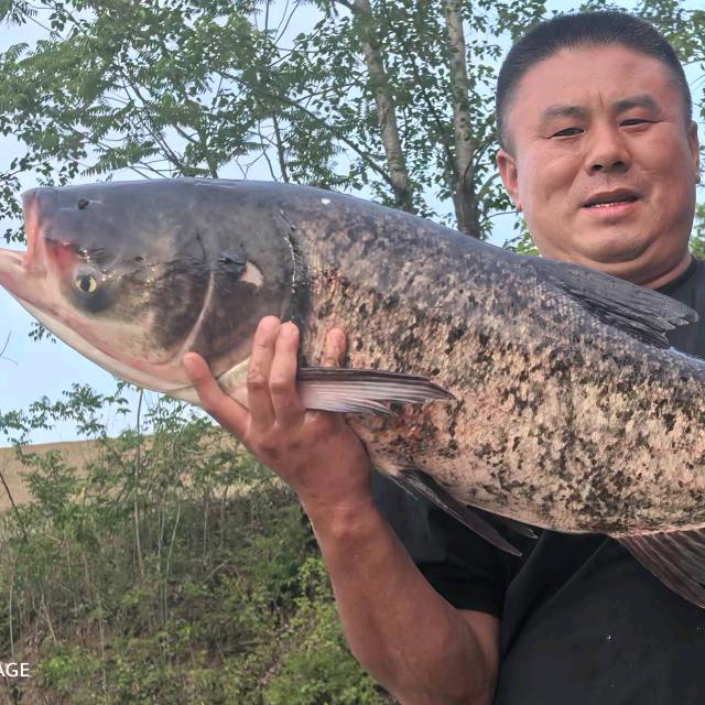 洋县牧鱼湾西沟水库