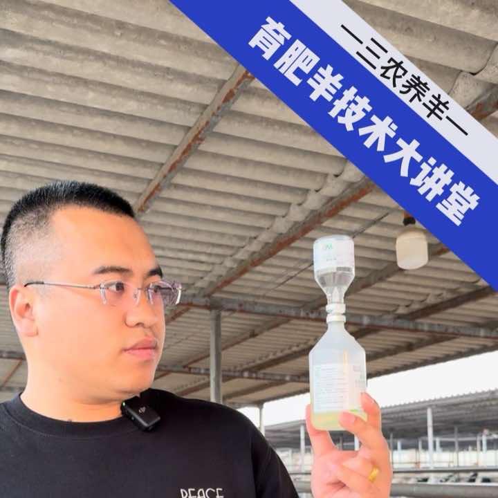 蒂洋·刘豹