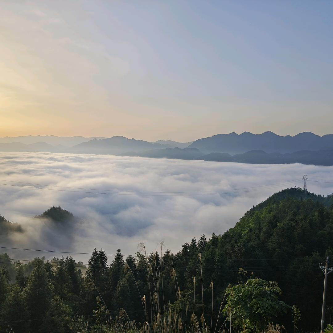 嗯匡家直播号
