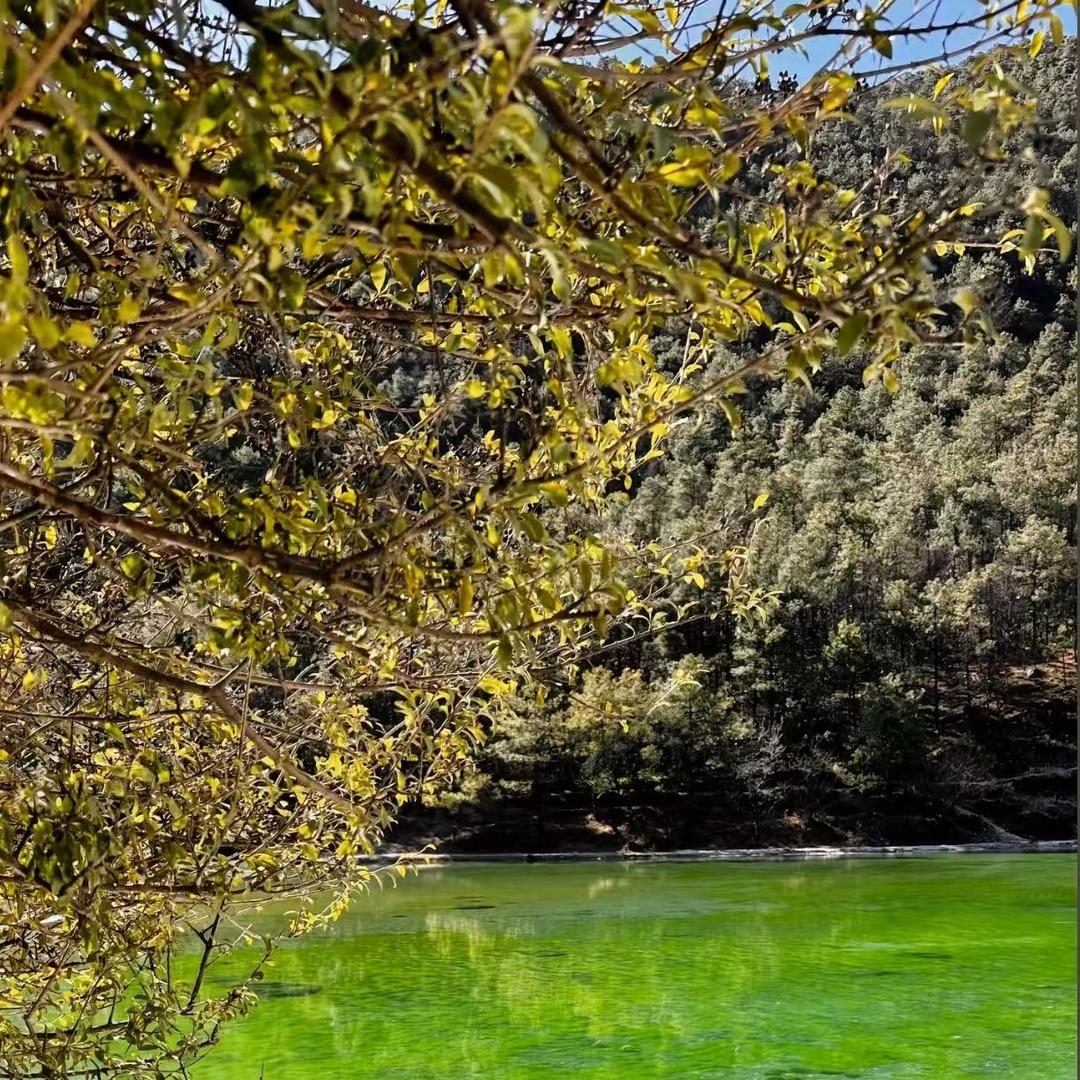 康白卿直播55号