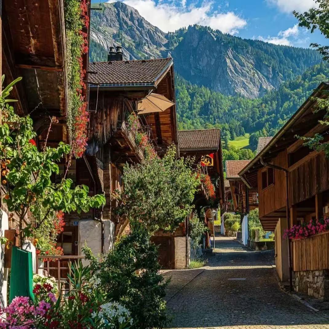 金隆格赫直播号